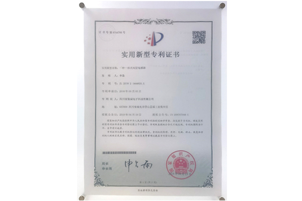 一种一体式双层电感器...