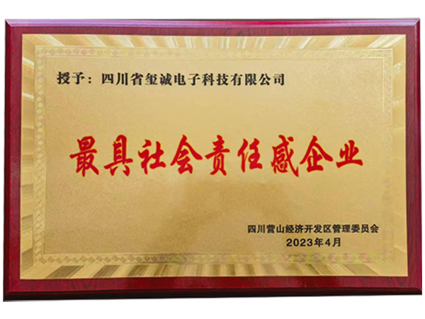 最具社会责任感企业